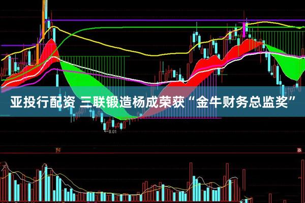亚投行配资 三联锻造杨成荣获“金牛财务总监奖”