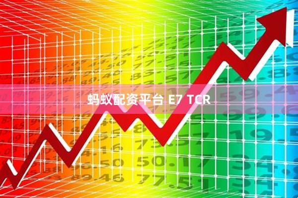 蚂蚁配资平台 E7 TCR