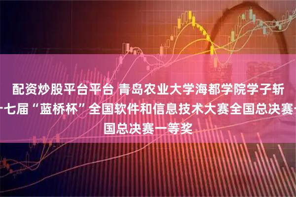 配资炒股平台平台 青岛农业大学海都学院学子斩获第十七届“蓝桥杯”全国软件和信息技术大赛全国总决赛一等奖