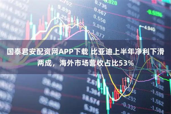 国泰君安配资网APP下载 比亚迪上半年净利下滑两成，海外市场营收占比53%